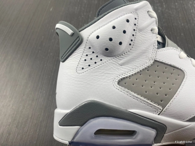 Grey Cool Jordan Air 6 CT8529-100 1213